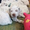 3_woche_18 copy